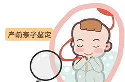 山西孕期亲子鉴定中心在什么地方，山西孕期亲子鉴定机构地址在哪里