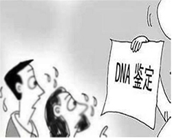 山西司法DNA鉴定大概多少费用，山西司法亲子鉴定如何办理