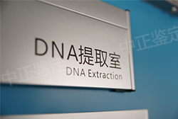 山西能做血缘检测吗，山西办理DNA鉴定大概多少费用