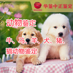 山西动物鉴定