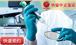 山西同一父系亲缘鉴定