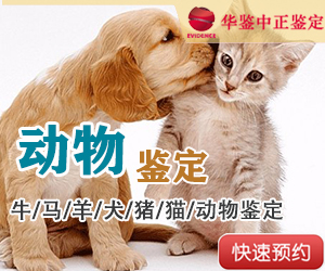山西动物鉴定